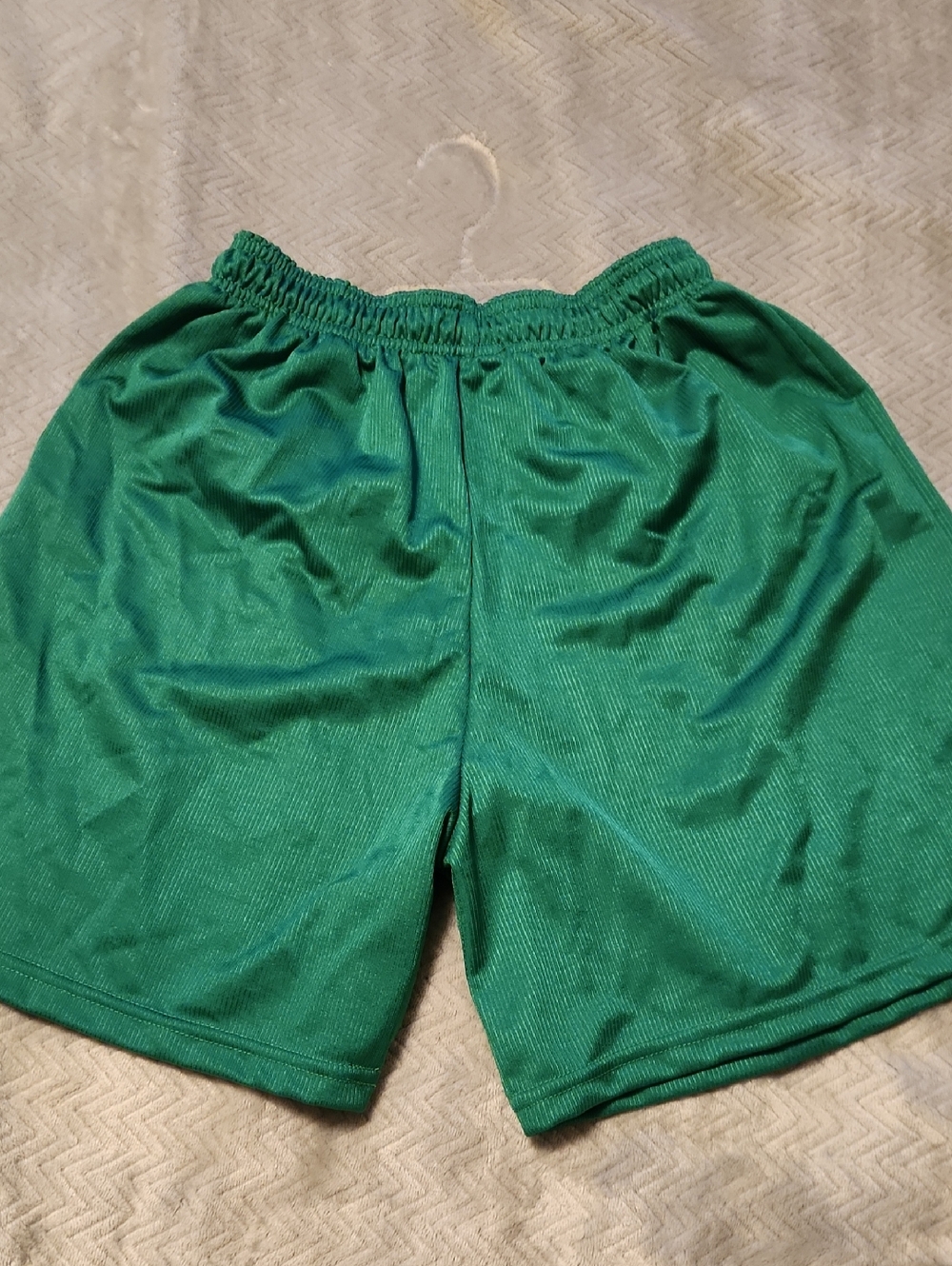 Vici Biys Green Athletic Shorts